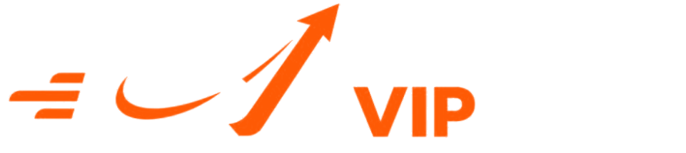 Nişantaşı VIP Kurye logosu